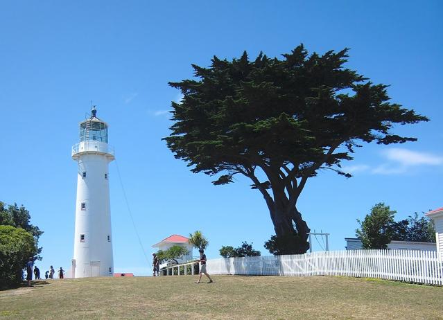 Tiritiri Matangi Island